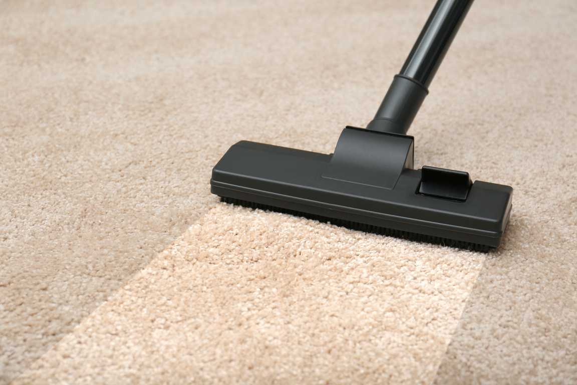 Vacuuming  Beige Carpet. Clean Area after Using Device, Closeup